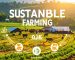 Firefly_Title- Sustainable Farming- The Future of Agriculture _As the world moves towards hea 801001