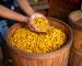 The Golden Spice- Why Turmeric from India is the World’s Best_Content-_Turmeri 723037